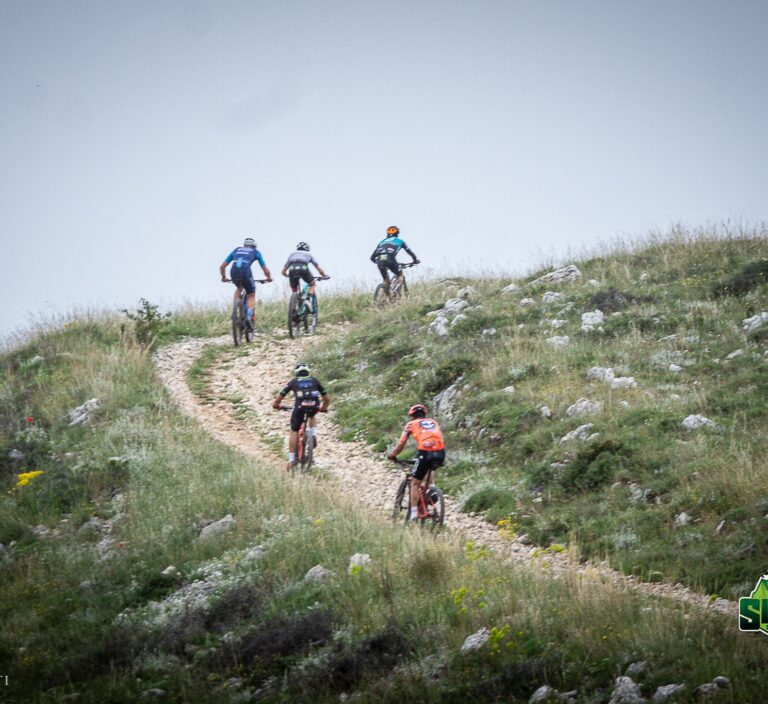 444236767_978882960913190_7729655150565360120_n